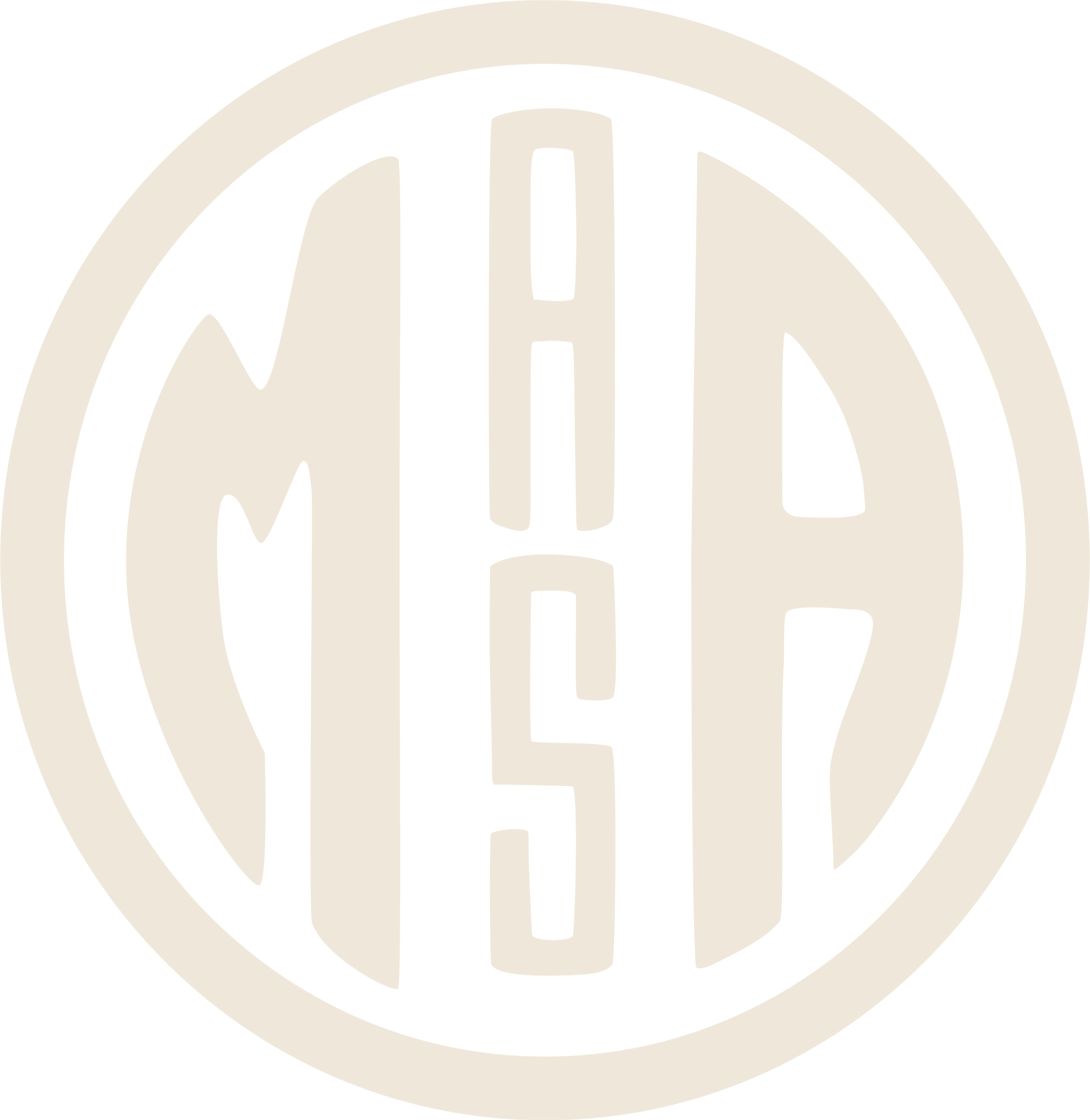 Masa Chips Masa Chips